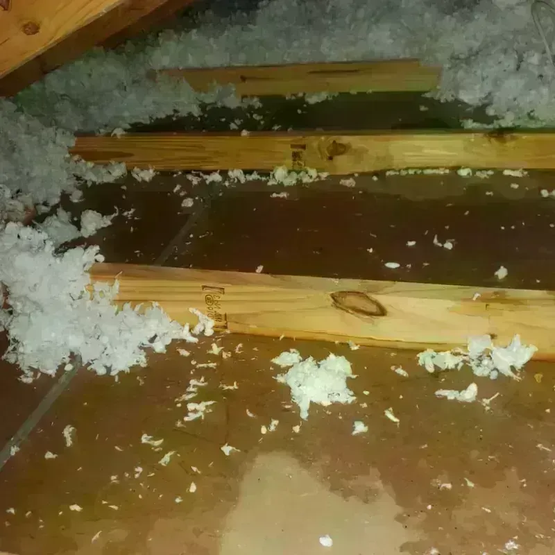 Attic Water Damage in Waterloo, NE