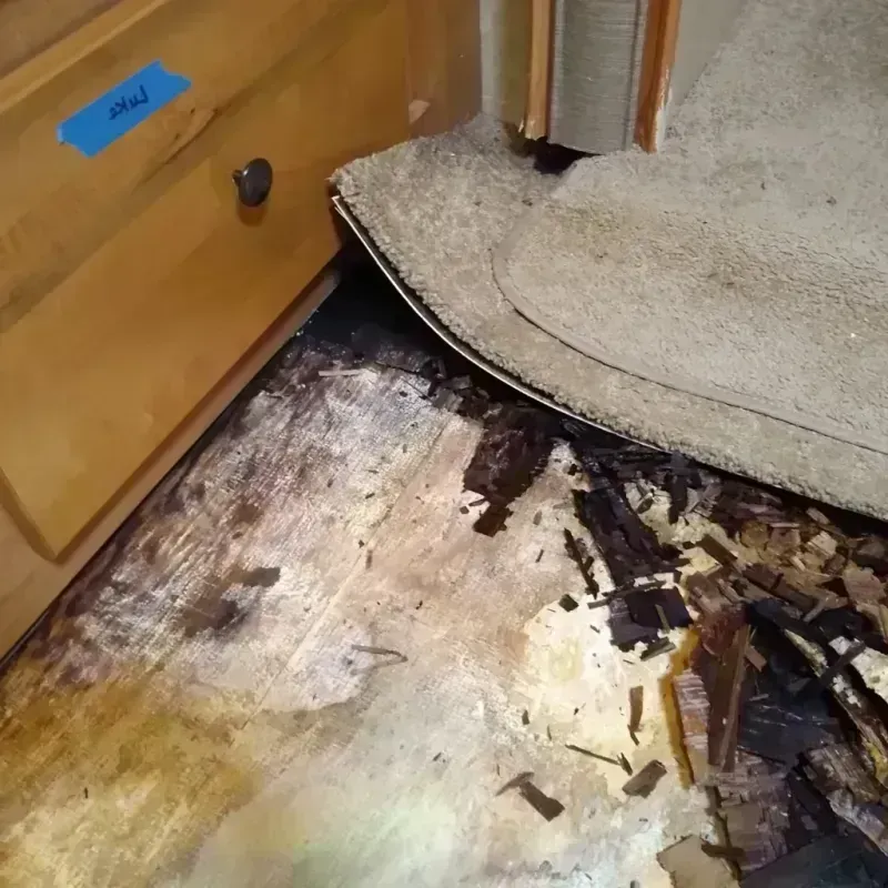 Wood Floor Water Damage in Waterloo, NE